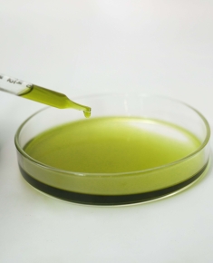 Chiết xuất Trà Xanh