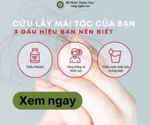 Cứu lấy mái tóc của bạn: 3 Dấu hiệu bạn nên biết