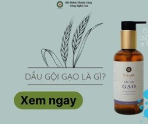 Dầu gội gạo là gì?