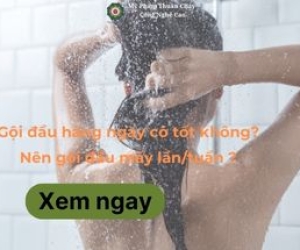 Gội đầu hàng ngày có tốt không? Nên gội đầu mấy lần/ tuần?