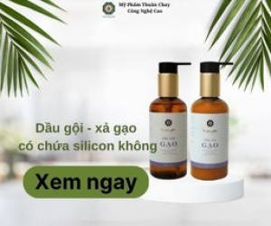Dầu gội - xả gạo có chứa silicon không?