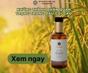 Những thành phần quan trọng trong dầu gội gạo