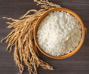 Chiết xuất Gạo lên men