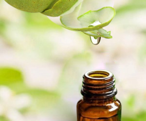 Hé lộ bí mật bất ngờ từ tinh dầu vỏ bưởi dùng cho tóc