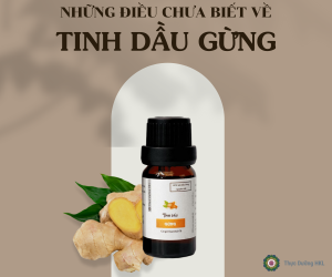 Những điều chưa biết về tinh dầu Gừng
