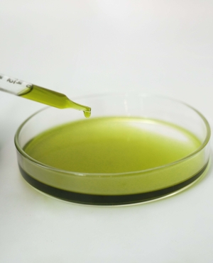Chiết xuất Trà Xanh