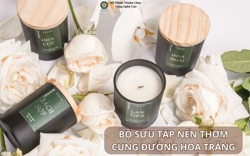 bo-suu-tap-nen-thom-cung-duong-hoa-trang