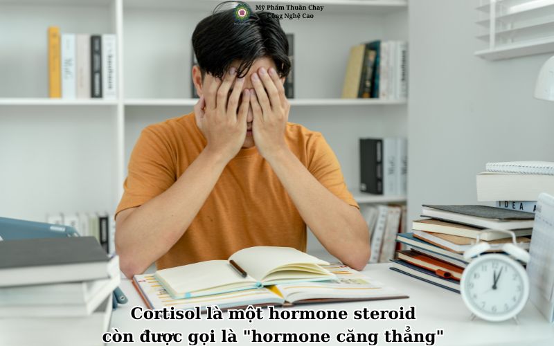 cortisol-la-hormone-cang-thang