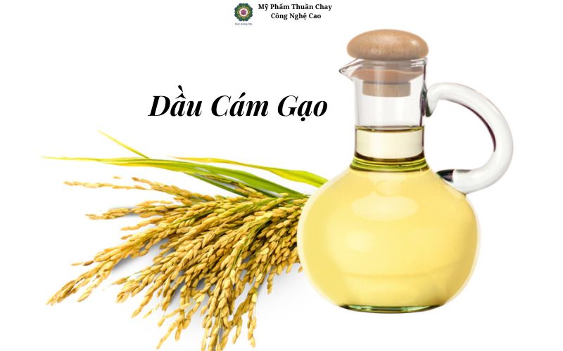 dau-cam-gao-nguyen-chat
