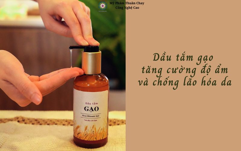dau-tam-gao