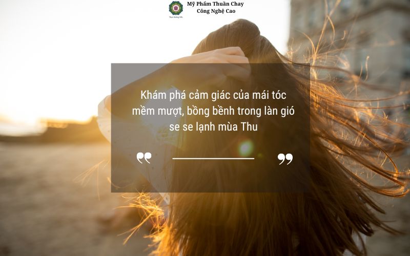 mua-thu-toc-de-gay-rung