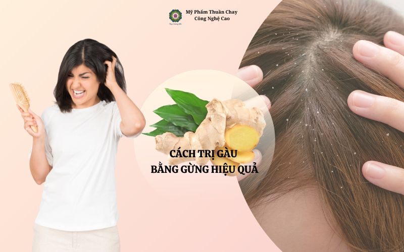 tinh-trang-gau-ngua-dau-goi-gung-cho-toc
