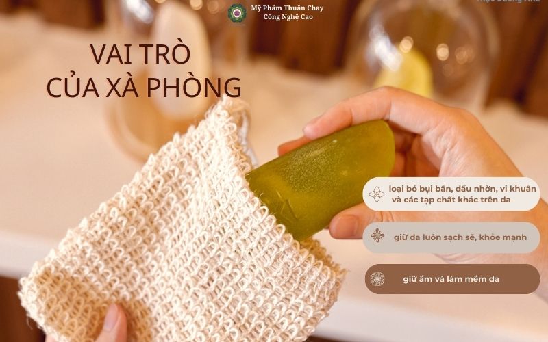 vai-tro-cua-xa-phong